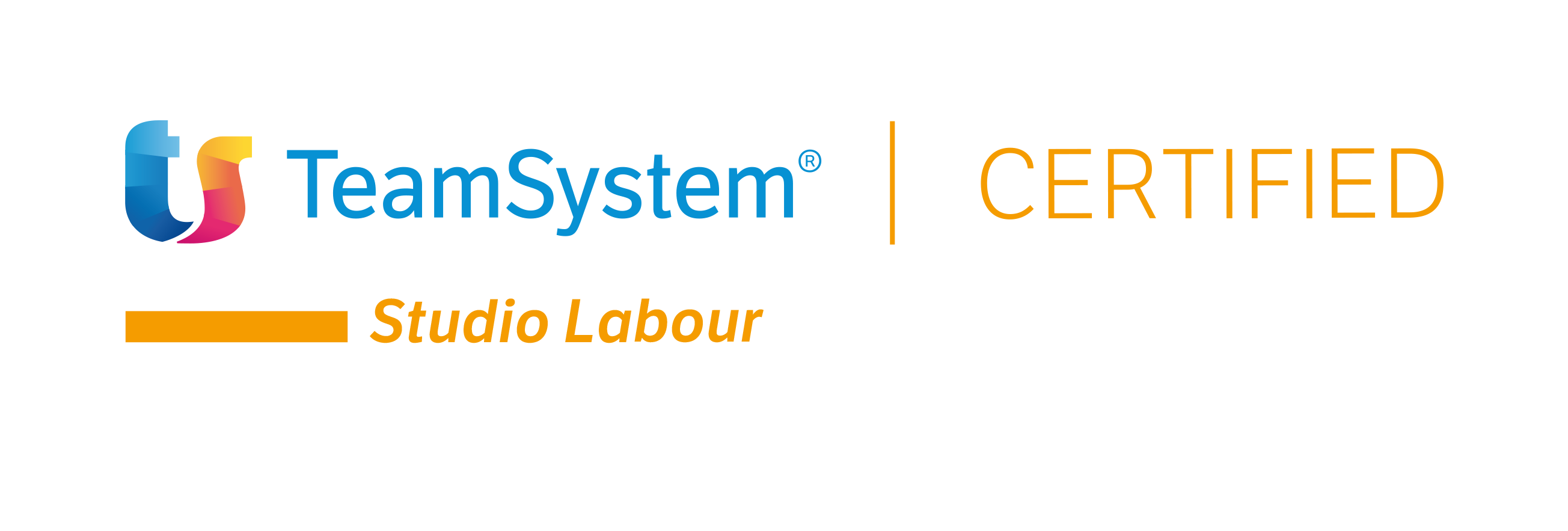TeamSystem Studio Labour